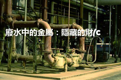 廢水中的金屬：隱藏的財(cái)富還是潛在威脅？